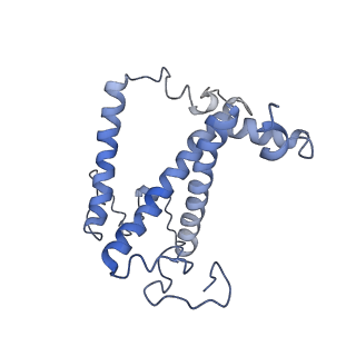 9670_6igz_8_v1-5
Structure of PSI-LHCI