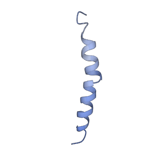 9670_6igz_I_v1-5
Structure of PSI-LHCI