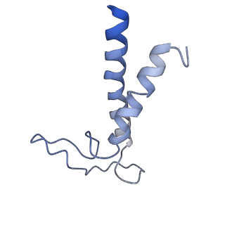 9670_6igz_K_v1-5
Structure of PSI-LHCI
