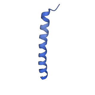 9670_6igz_M_v1-5
Structure of PSI-LHCI