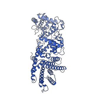 35440_8ih5_B_v1-0
The cryo-EM structure of OsCyc1 that complexed with GGPP