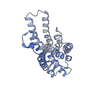 35442_8ihb_R_v1-1
Cryo-EM structure of HCA2-Gi complex with GSK256073