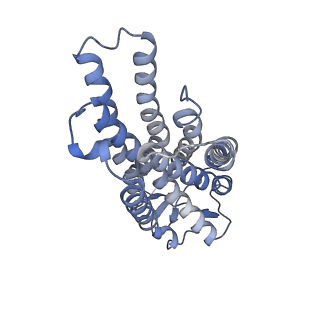 35443_8ihf_R_v1-1
Cryo-EM structure of HCA2-Gi complex with MK6892