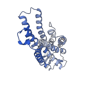 35444_8ihh_R_v1-1
Cryo-EM structure of HCA2-Gi complex with LUF6283