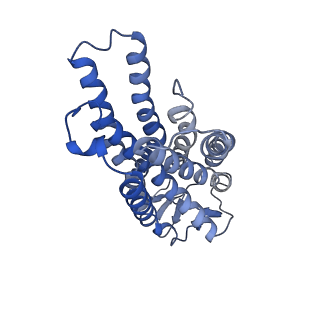 35445_8ihi_R_v1-1
Cryo-EM structure of HCA2-Gi complex with acifran