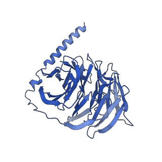 35446_8ihj_B_v1-1
Cryo-EM structure of HCA3-Gi complex with acifran