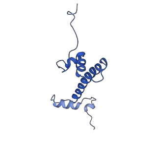 35449_8ihm_G_v1-0
Eaf3 CHD domain bound to the nucleosome