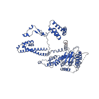 35450_8ihn_K_v1-0
Cryo-EM structure of the Rpd3S core complex