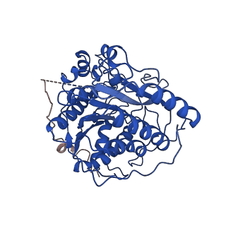 35450_8ihn_L_v1-0
Cryo-EM structure of the Rpd3S core complex