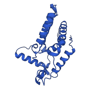 35450_8ihn_N_v1-0
Cryo-EM structure of the Rpd3S core complex