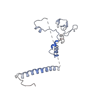 35450_8ihn_O_v1-0
Cryo-EM structure of the Rpd3S core complex