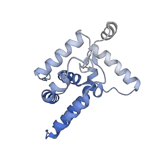 35450_8ihn_P_v1-0
Cryo-EM structure of the Rpd3S core complex