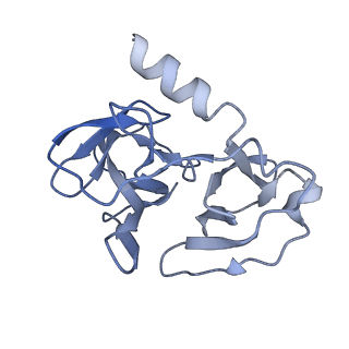 35451_8ihp_C_v1-2
Structure of Semliki Forest virus VLP in complex with the receptor VLDLR-LA3