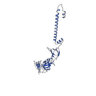 35451_8ihp_D_v1-2
Structure of Semliki Forest virus VLP in complex with the receptor VLDLR-LA3