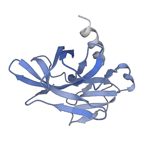 35451_8ihp_F_v1-2
Structure of Semliki Forest virus VLP in complex with the receptor VLDLR-LA3