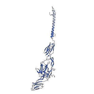 35451_8ihp_G_v1-2
Structure of Semliki Forest virus VLP in complex with the receptor VLDLR-LA3