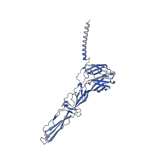 35451_8ihp_H_v1-2
Structure of Semliki Forest virus VLP in complex with the receptor VLDLR-LA3