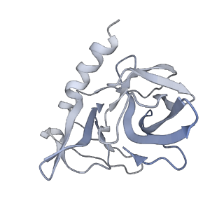 35451_8ihp_I_v1-2
Structure of Semliki Forest virus VLP in complex with the receptor VLDLR-LA3