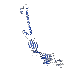 35451_8ihp_J_v1-2
Structure of Semliki Forest virus VLP in complex with the receptor VLDLR-LA3