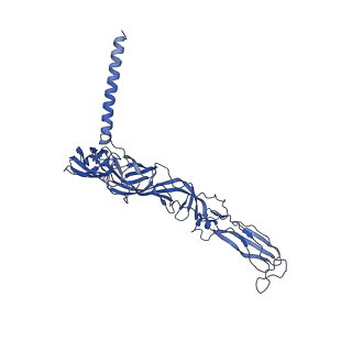 35451_8ihp_K_v1-2
Structure of Semliki Forest virus VLP in complex with the receptor VLDLR-LA3