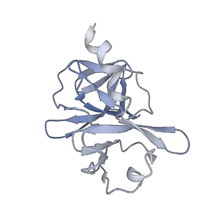 35451_8ihp_L_v1-2
Structure of Semliki Forest virus VLP in complex with the receptor VLDLR-LA3