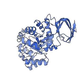 35452_8ihq_A_v1-1
Cryo-EM structure of ochratoxin A-detoxifying amidohydrolase ADH3