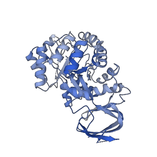 35452_8ihq_B_v1-1
Cryo-EM structure of ochratoxin A-detoxifying amidohydrolase ADH3