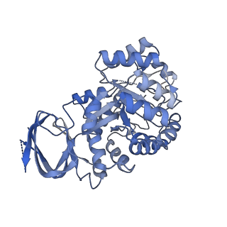 35452_8ihq_C_v1-1
Cryo-EM structure of ochratoxin A-detoxifying amidohydrolase ADH3