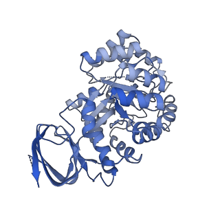 35453_8ihr_C_v1-1
Cryo-EM structure of ochratoxin A-detoxifying amidohydrolase ADH3 in complex with Phe