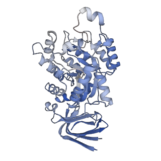 35453_8ihr_F_v1-1
Cryo-EM structure of ochratoxin A-detoxifying amidohydrolase ADH3 in complex with Phe