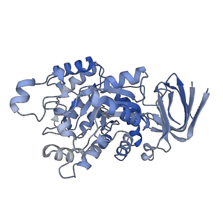 35453_8ihr_G_v1-1
Cryo-EM structure of ochratoxin A-detoxifying amidohydrolase ADH3 in complex with Phe