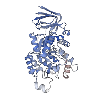 35453_8ihr_H_v1-1
Cryo-EM structure of ochratoxin A-detoxifying amidohydrolase ADH3 in complex with Phe