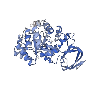 35454_8ihs_B_v1-1
Cryo-EM structure of ochratoxin A-detoxifying amidohydrolase ADH3 in complex with ochratoxin A