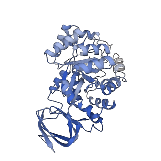 35454_8ihs_C_v1-1
Cryo-EM structure of ochratoxin A-detoxifying amidohydrolase ADH3 in complex with ochratoxin A