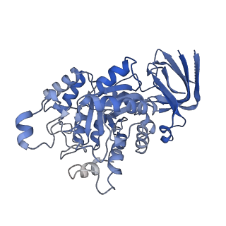 35454_8ihs_G_v1-1
Cryo-EM structure of ochratoxin A-detoxifying amidohydrolase ADH3 in complex with ochratoxin A