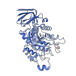 35454_8ihs_H_v1-1
Cryo-EM structure of ochratoxin A-detoxifying amidohydrolase ADH3 in complex with ochratoxin A