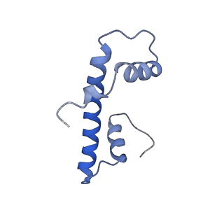 35455_8iht_B_v1-0
Rpd3S bound to the nucleosome