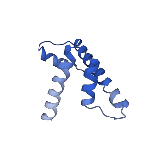 35455_8iht_D_v1-0
Rpd3S bound to the nucleosome