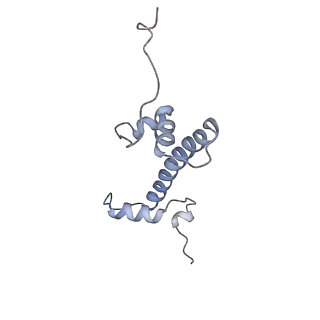 35455_8iht_G_v1-0
Rpd3S bound to the nucleosome