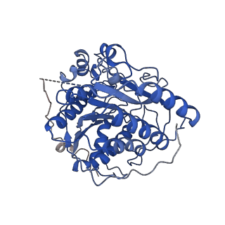 35455_8iht_L_v1-0
Rpd3S bound to the nucleosome