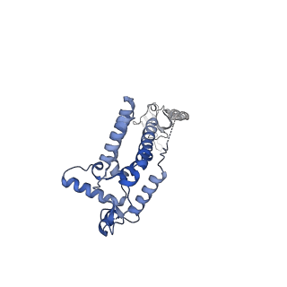 35455_8iht_N_v1-0
Rpd3S bound to the nucleosome