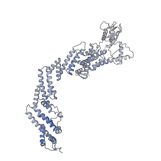 35461_8ij1_A_v1-0
Protomer 1 and 2 of the asymmetry trimer of the Cul2-Rbx1-EloBC-FEM1B ubiquitin ligase complex