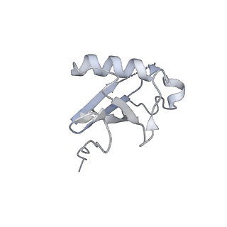 35461_8ij1_B_v1-0
Protomer 1 and 2 of the asymmetry trimer of the Cul2-Rbx1-EloBC-FEM1B ubiquitin ligase complex