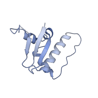 35461_8ij1_C_v1-0
Protomer 1 and 2 of the asymmetry trimer of the Cul2-Rbx1-EloBC-FEM1B ubiquitin ligase complex