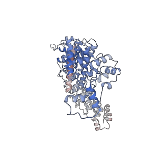 35461_8ij1_D_v1-0
Protomer 1 and 2 of the asymmetry trimer of the Cul2-Rbx1-EloBC-FEM1B ubiquitin ligase complex
