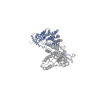 35461_8ij1_F_v1-0
Protomer 1 and 2 of the asymmetry trimer of the Cul2-Rbx1-EloBC-FEM1B ubiquitin ligase complex