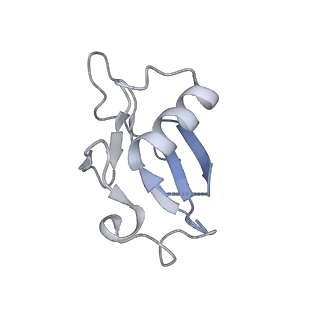 35461_8ij1_G_v1-0
Protomer 1 and 2 of the asymmetry trimer of the Cul2-Rbx1-EloBC-FEM1B ubiquitin ligase complex