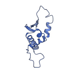 35461_8ij1_H_v1-0
Protomer 1 and 2 of the asymmetry trimer of the Cul2-Rbx1-EloBC-FEM1B ubiquitin ligase complex