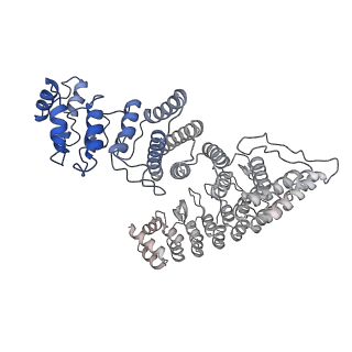 35461_8ij1_I_v1-0
Protomer 1 and 2 of the asymmetry trimer of the Cul2-Rbx1-EloBC-FEM1B ubiquitin ligase complex