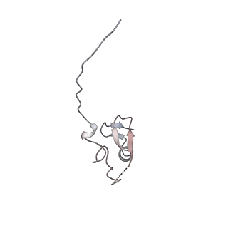 35461_8ij1_R_v1-0
Protomer 1 and 2 of the asymmetry trimer of the Cul2-Rbx1-EloBC-FEM1B ubiquitin ligase complex